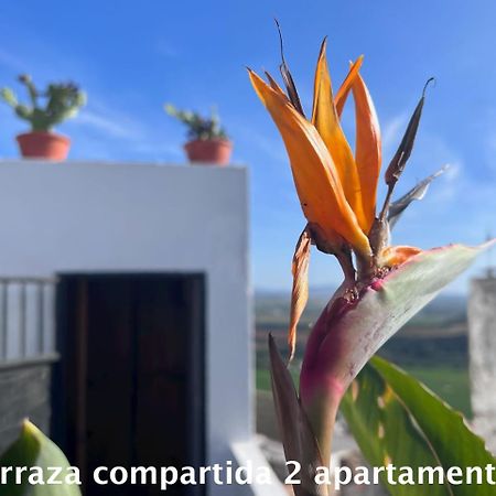 Ferienwohnung Casa Abades Arcos De La Frontera Exterior foto