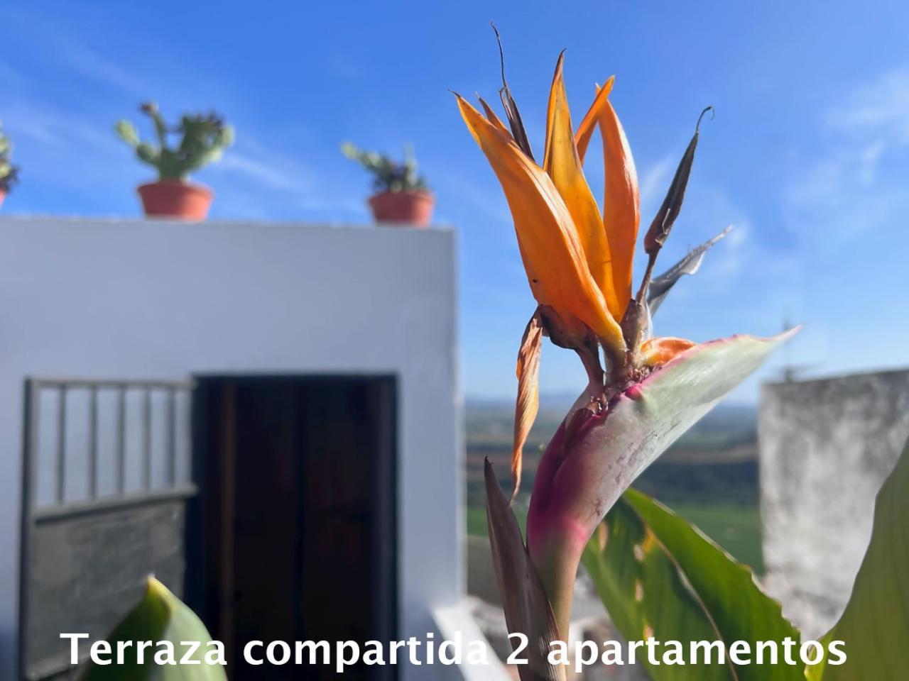 Ferienwohnung Casa Abades Arcos De La Frontera Exterior foto
